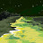 @Northholme55 Avatar