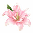 lpFsVUWGjME-channel-avatar-란토 Ranto