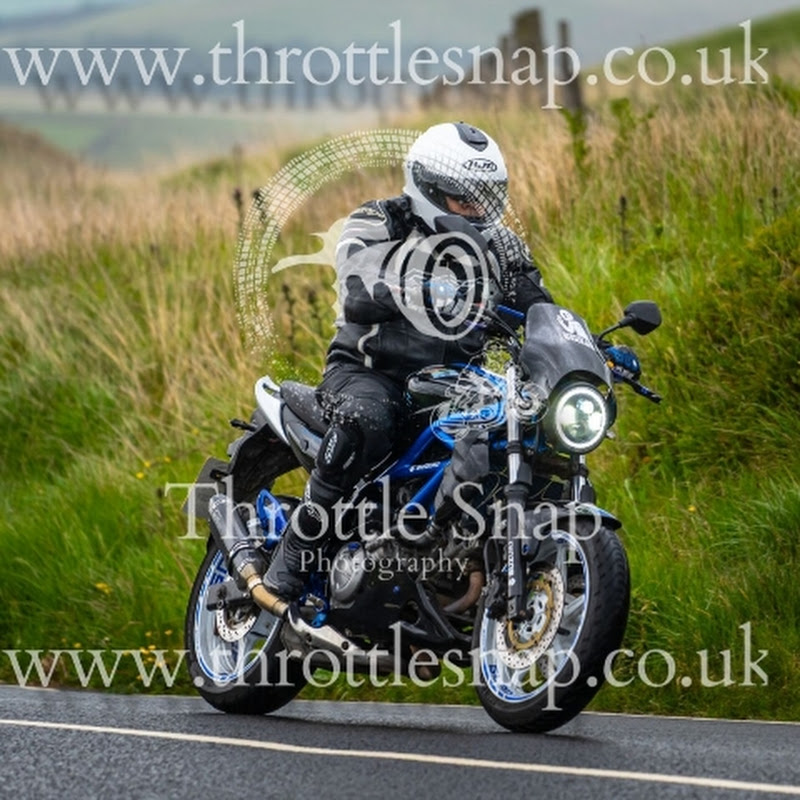 suzuki gladius 650cc rider 