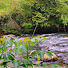 gKDTeJk6Zx4-channel-avatar-Nature Calm ID