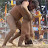 Kushti Dekho 2.0