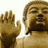 Ca5eUEYKK0Y-channel-avatar-Dios Según Buda
