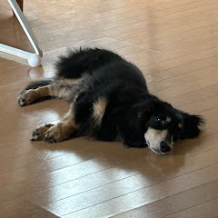 もなかといっしょ