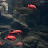 @nature-k6s