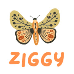 Ziggy Hill net worth