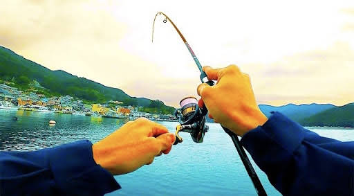 独身男の釣り暮らし Fishing Life Youtube