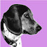 FVewjoIrc10-channel-avatar-Hali's Ledger And Lace