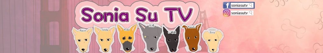 SoniaSu TV YouTube channel avatar