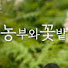 zfarhGIc_VM-channel-avatar-농부와꽃밭
