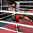 MMA the Ronin