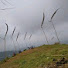 SZBL_nJsEJ0-channel-avatar-KOLECER BOGOR