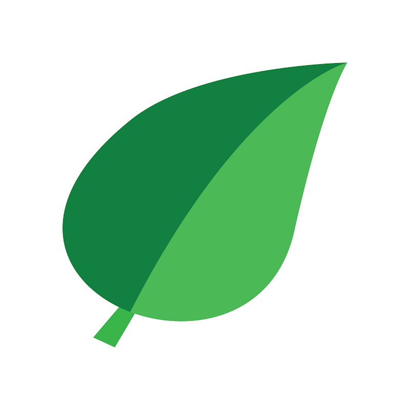 TopCodeForest