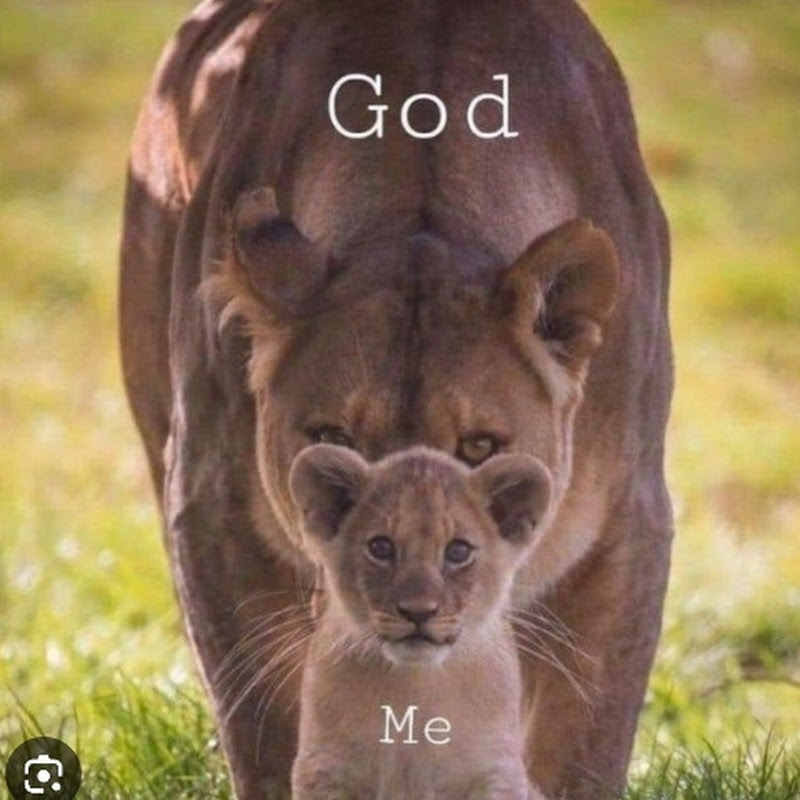 SeeMeBeBrave