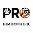 nyobbbrIOYc-channel-avatar-PRO Животных