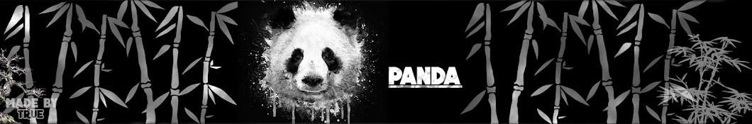 PANDA YouTube channel avatar