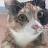 @g_xno1 Avatar