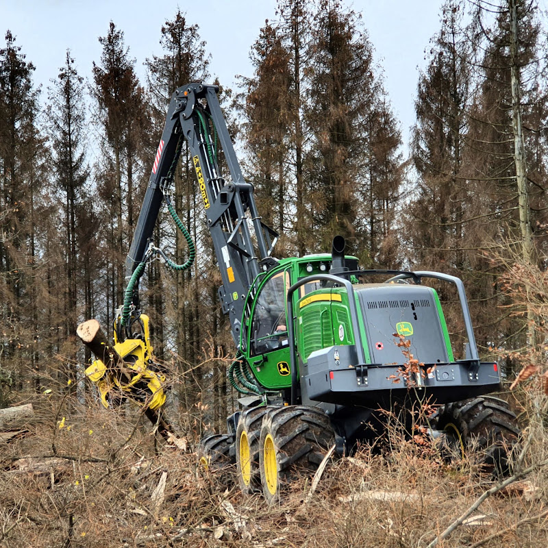Forestmachine Impressions