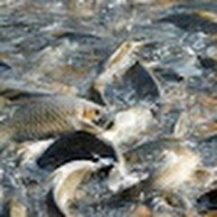 Best fishing