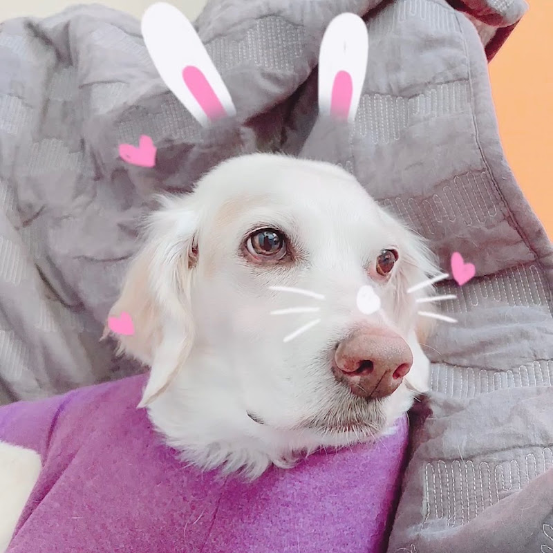 クルマで遊ぼう! 大井貴之のSports Driving Labo.のサムネイル