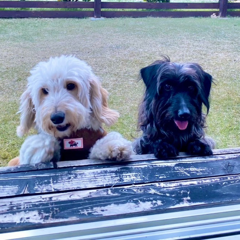 ジャックとバル