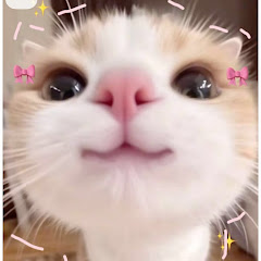 Kay_1404🌷