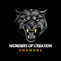 The wonders of creation logo