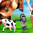 ZI6SfoBWcrs-channel-avatar- Animals 4k videos