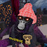 nsIIWRTGmWY-channel-avatar-Frostboi