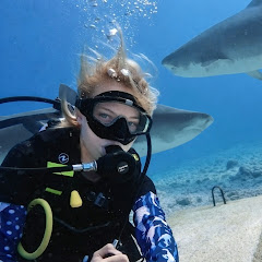 Ninel with Sharks | Нинель | Девушка с акулами