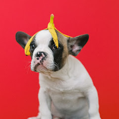 一起看正妹Cosplay隨拍