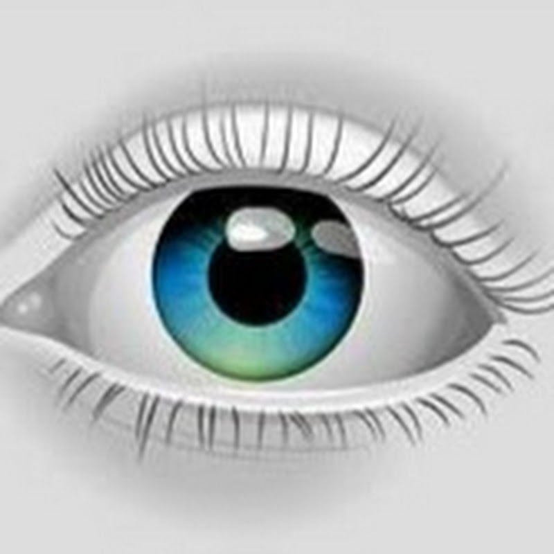 Network Marketing Revolution icon