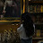 @no_L-d7s