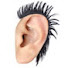 wNqr6Qg0Gw4-channel-avatar-KISS MY EARS