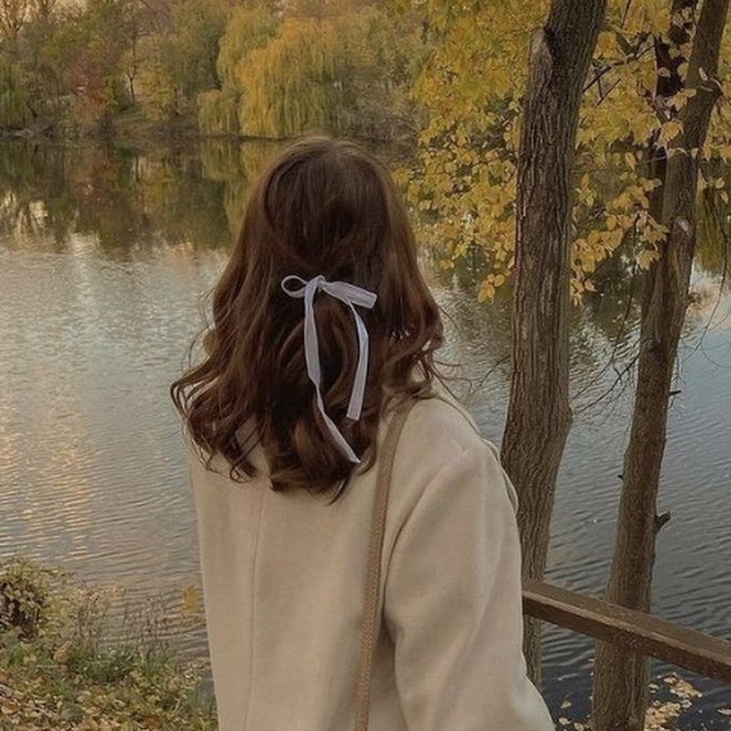The Introvert Dreamer