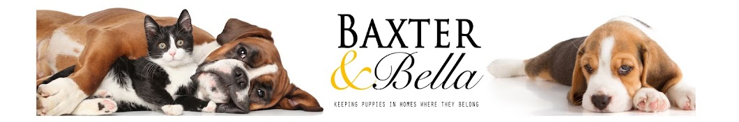 Baxter & Bella YouTube 频道头像