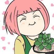 365日多肉生活