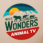 Wild Wonders Animal TV logo