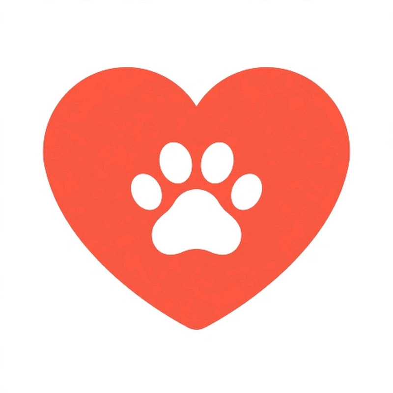 Mend & Rescue