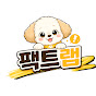 팩트랩