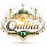sc690_jZhww-channel-avatar-Qalbia TV