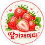 딸기재미따