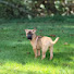 boCSxCtD7OM-channel-avatar-Miss Karen
