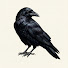 DBdq8cEljzc-channel-avatar-El Rincón del Cuervo (The Raven's Corner)
