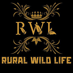 Rural Wild Life 