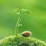 c-2K6U2KLlw-channel-avatar-Wonderful Garden No.1