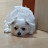 @doong_fa