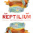 Выставка-продажа Рептилиум. Reptilium