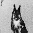 5RnLeTlIrGM-channel-avatar-NEUK