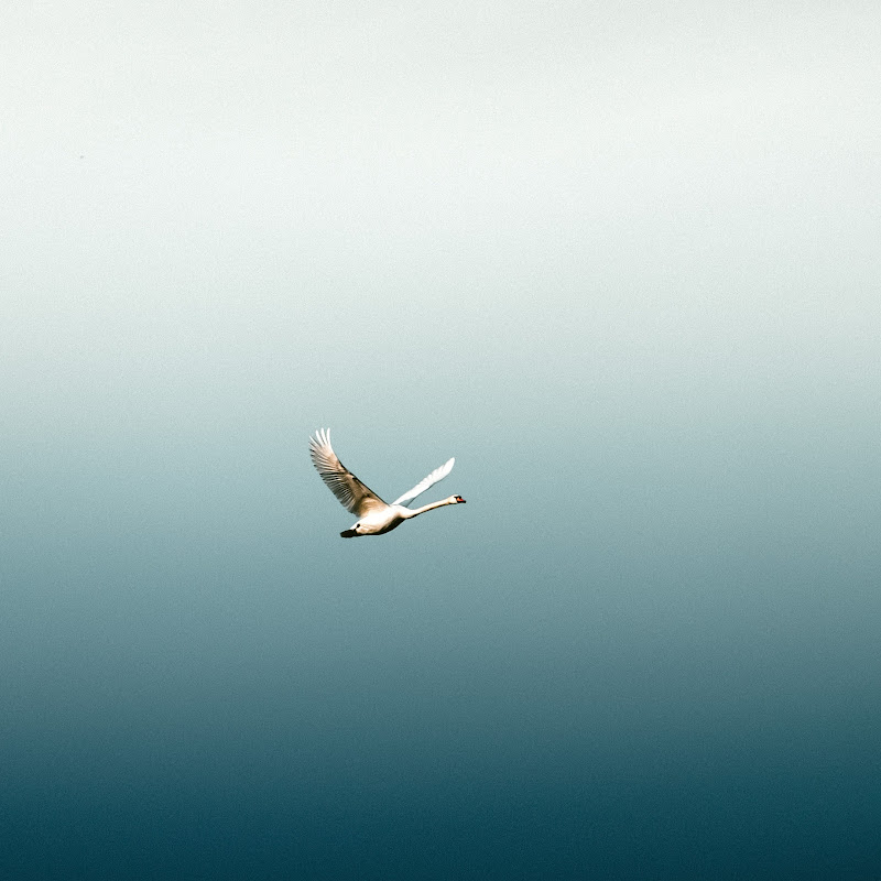 meditation and relaxing time