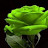 avatar of @faseehaariff8594